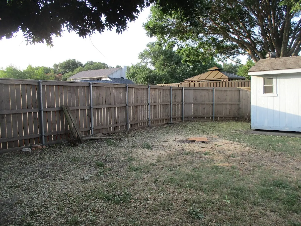 Cleared yard after professional tree removal in Cleveland